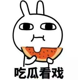 吃瓜爆料往期合集,回顾往期精彩合集，揭秘娱乐圈幕后故事