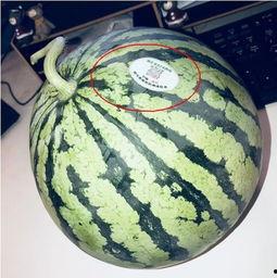 网红吃瓜聚集地,揭秘网络热点背后的秘密聚集地